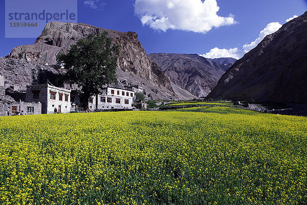 Ein Bergdorf im Markha-Tal  Zanskar  Indien  Asien