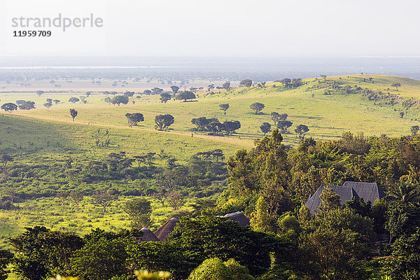 Queen Elizabeth National Park  Uganda  Afrika