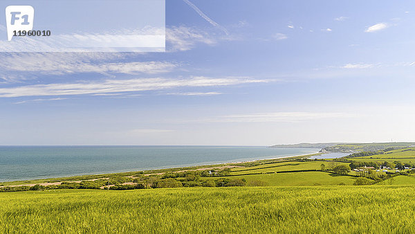 Landschaftsansicht über Felder in Richtung Slapton Sands und Küstenlinie in Devon.