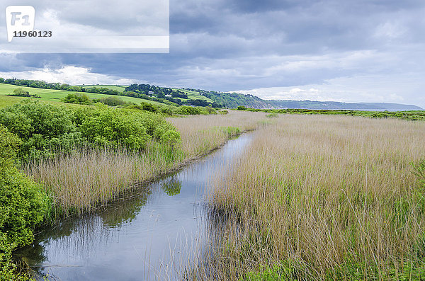 Ländliche Landschaft mit Feldern und einem Bach mit Lesestoff an den Ufern bei Slapton.