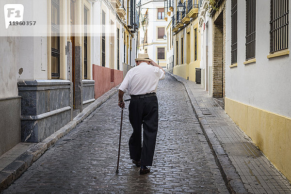 Rückansicht eines älteren Mannes mit Stock  der auf einer gepflasterten Straße in Sevilla  Andalusien  Spanien  spazieren geht.