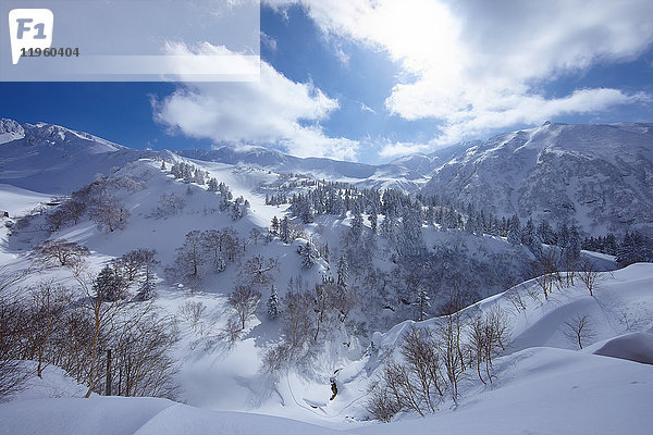 Gebirgslandschaft mit Bäumen an schneebedeckten Hängen unter bewölktem Himmel.