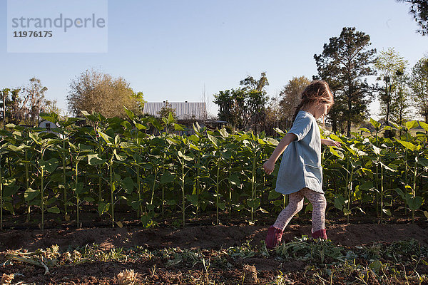Junges Mädchen geht auf dem Bauernhof neben den Feldfrüchten  Seitenansicht