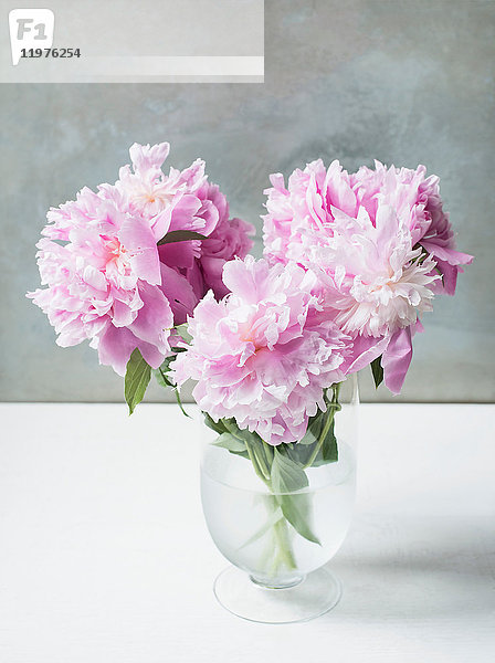 Vase mit rosa Pfingstrosen auf dem Tisch