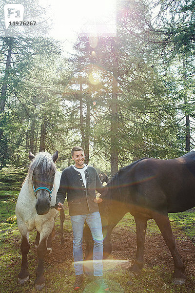 Mann mit Pferden im Wald  Tirol  Steiermark  Österreich  Europa