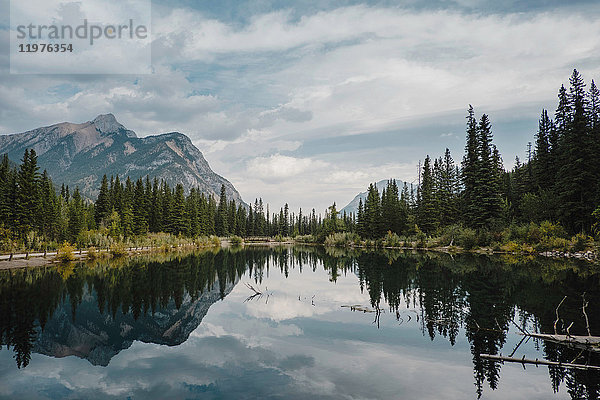 Spiegelung von Berg und Bäumen im See  Canmore  Kanada  Nordamerika