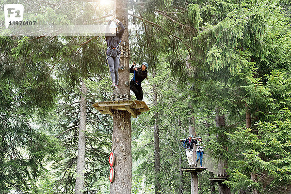 Freunde im Wald beim Hochseilgarten