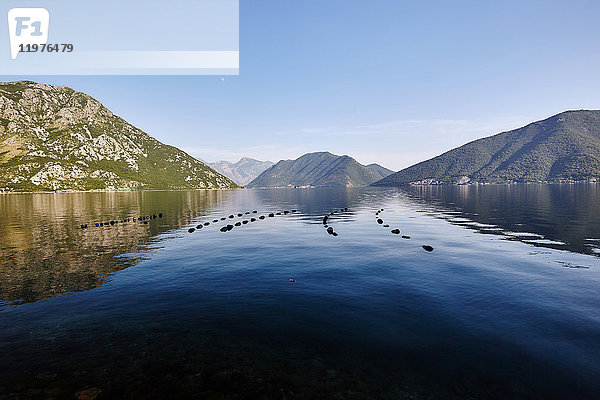 Szenische Ansicht von Fischernetz-Schwimmern in der Bucht von Kotor  Montenegro