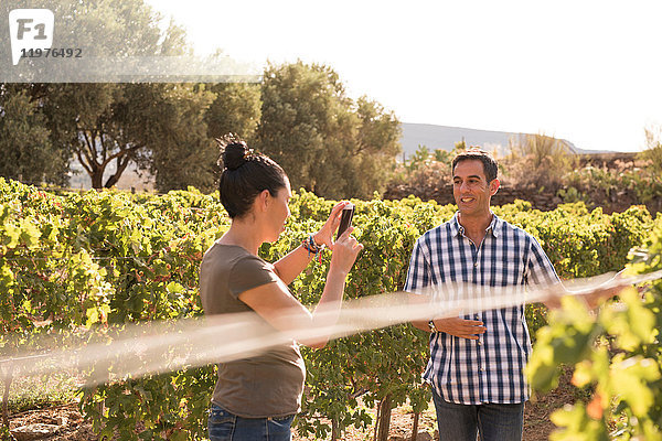 Reife Frau fotografiert Winzerin im Weinberg  Las Palmas  Gran Canaria  Spanien