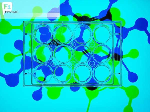 Fotogramm. Multiwell-Platten mit Proben  molekulares Modell der Arzneimittelformel im Hintergrund zur Veranschaulichung bahnbrechender pharmazeutischer Forschung