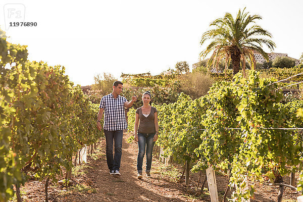 Männliche und weibliche Winzer beim Spaziergang im Weinberg  Las Palmas  Gran Canaria  Spanien