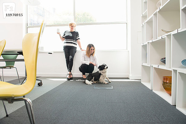 Frauen mit Haushund im Amt
