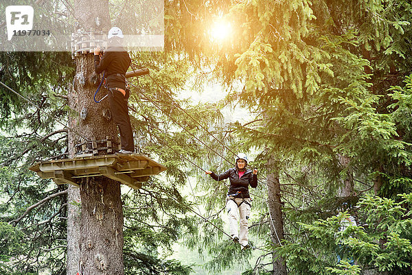 Freunde im Wald beim Hochseilgarten