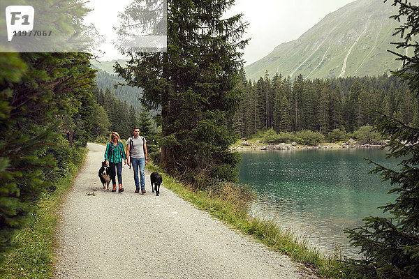 Paar mit Hunden beim Wandern am See  Tirol  Steiermark  Österreich  Europa