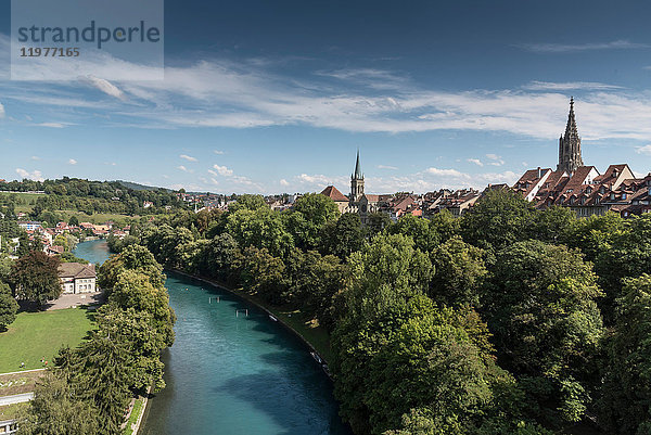 Erhöhte Ansicht der baumbestandenen Aare  Bern  Schweiz  Europa