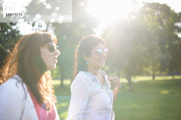 Zwei reife Freundinnen spazieren im sonnenbeschienenen Park  London  UK