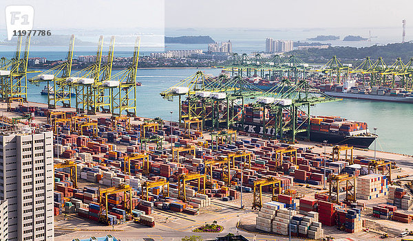 Draufsicht auf Containerterminal  Kräne und Containerschiff  Singapur  Südostasien