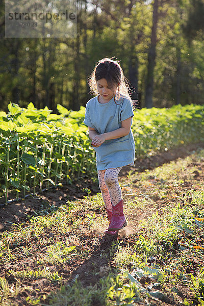 Junges Mädchen geht auf dem Bauernhof  hält Hände zusammen