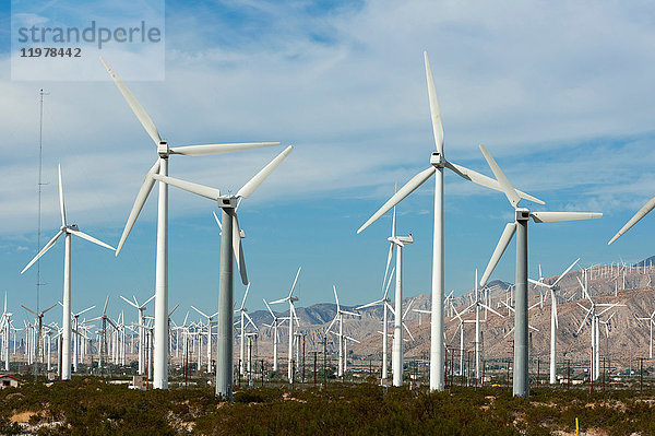 Windpark  Palm Springs  Kalifornien  USA