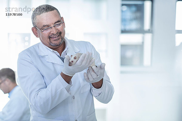 Laborantin hält weiße Ratte  lächelnd