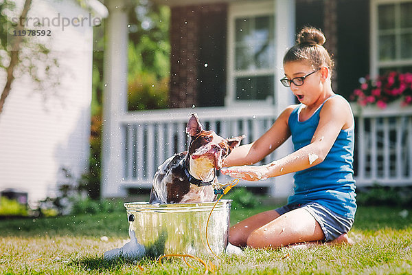 Mädchen wäscht Hund im Eimer