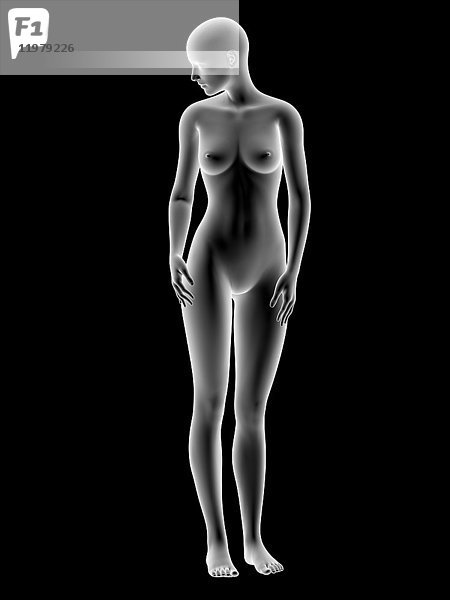 Computergrafik eines weiblichen Körpers.