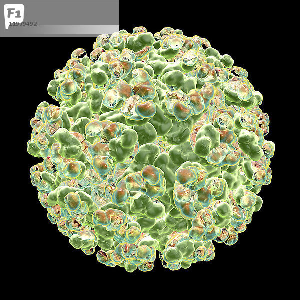 Sindbis-Virus (SINV)  Computer-Illustration. SINV gehört zur Familie der Togaviridae und verursacht beim Menschen Sindbisfieber. Es wird durch Mückenstiche übertragen und verursacht Fieber mit Gelenkschmerzen.