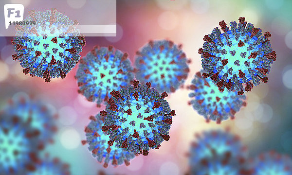 Partikel des Masernvirus  Computerillustration. Dieses Virus aus der Gruppe der Morbilliviren besteht aus einem RNA-Kern (Ribonukleinsäure)  der von einer Hülle umgeben ist  die mit den Oberflächenproteinen Hämagglutinin-Neuraminidase und Fusionsprotein besetzt ist  die dazu dienen  sich an eine Wirtszelle anzuheften und in sie einzudringen. Masern sind ein hochinfektiöser  juckender Hautausschlag mit Fieber. Die Krankheit befällt vor allem Kinder  und eine einmalige Infektion verleiht in der Regel lebenslange Immunität.