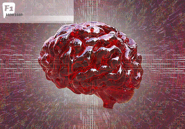 Computerillustration eines menschlichen Gehirns.
