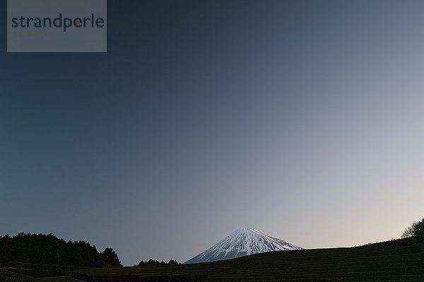 Morgenblick auf den Berg Fuji und die Teeplantage an einem klaren Tag  Präfektur Shizuoka  Japan