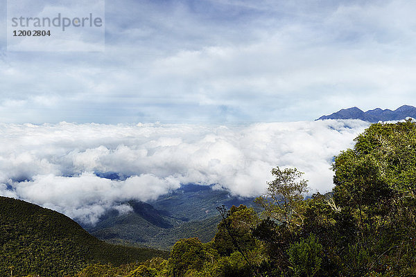 Serra da Mantiqueira  Brasilien  Südamerika  Amerika