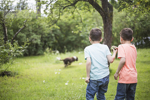 Rückansicht von Brüdern  die mit Ball stehen  während der Hund auf Gras im Hinterhof rennt