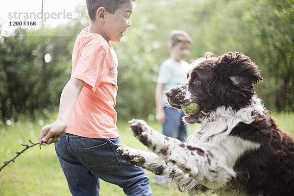 Junge und Hund spielen mit Bruder im Hinterhof