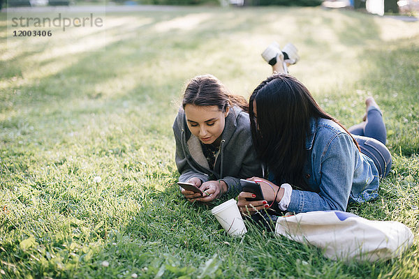 Volle Länge der weiblichen Freunde  die auf Gras liegen  während sie Smartphones benutzen.