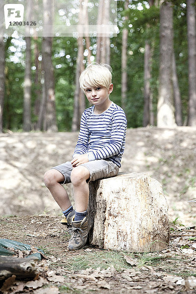Junge im Wald sitzend auf Baumstumpf