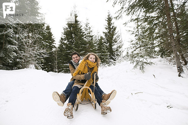 Glückliches junges Paar auf Schlitten im Winterwald