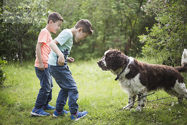 Zwillingsbrüder spielen mit Hund auf Rasen im Hinterhof