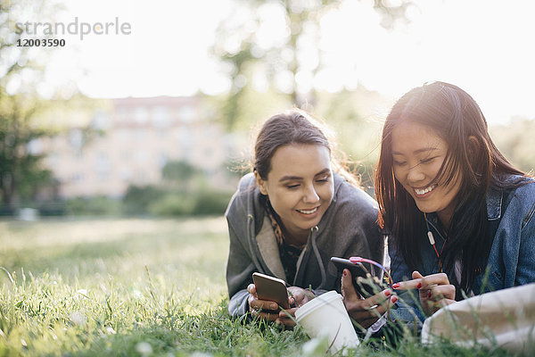 Lächelnde Freundinnen  die Smartphones benutzen  während sie auf Gras liegen.