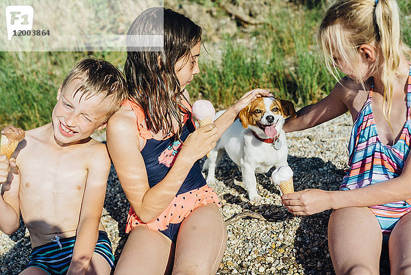 Drei Kinder essen Eis und spielen mit dem Hund am Strand.