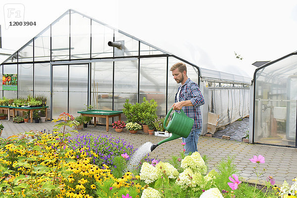 Gärtnerin gießt Blumen vor dem Gewächshaus