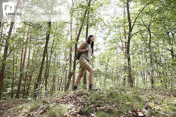 Junge Frau mit Rucksack auf Wanderung im Wald
