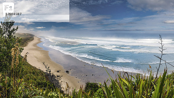 Neuseeland  Nordinsel  Blick auf Maunganui Bluff Beach