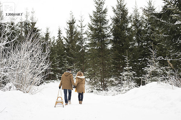 Rückansicht eines jungen Paares  das sich in den Schlitten im Winterwald verliebt hat.