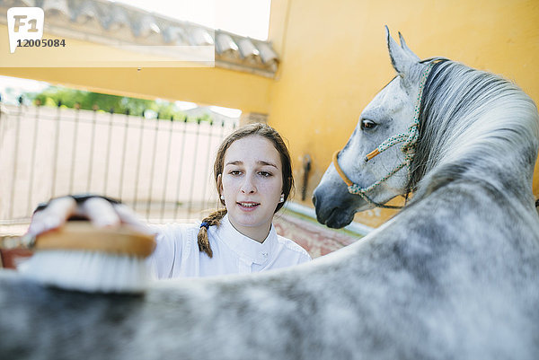 Porträt einer jungen Frau  die den Rücken eines Pferdes pflegt