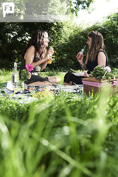 Freunde beim Picknick im Sommer  beim Reden und Trinken von frischen Säften