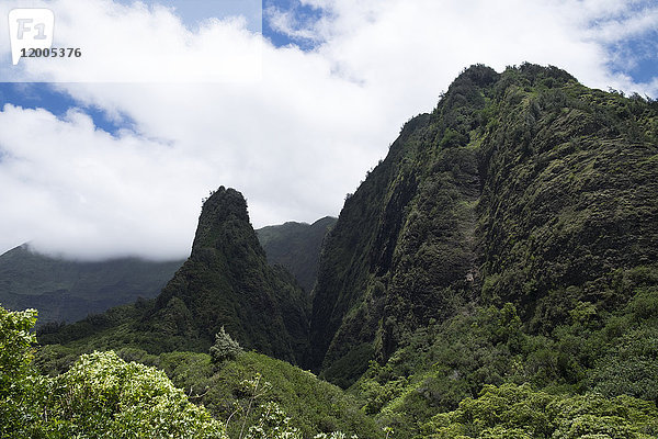 USA  Hawaii  Maui  Iao Valley State Park  Die Nadel