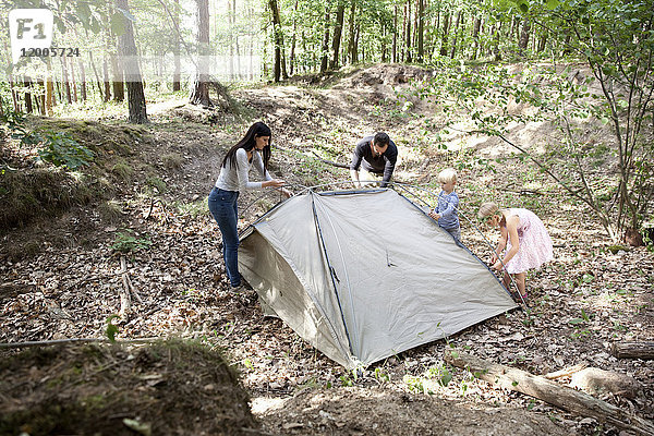 Familie im Wald baut gemeinsam ein Zelt auf