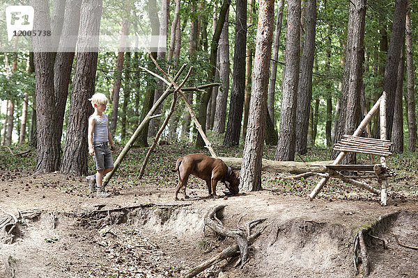 Spaziergang mit Hund im Wald