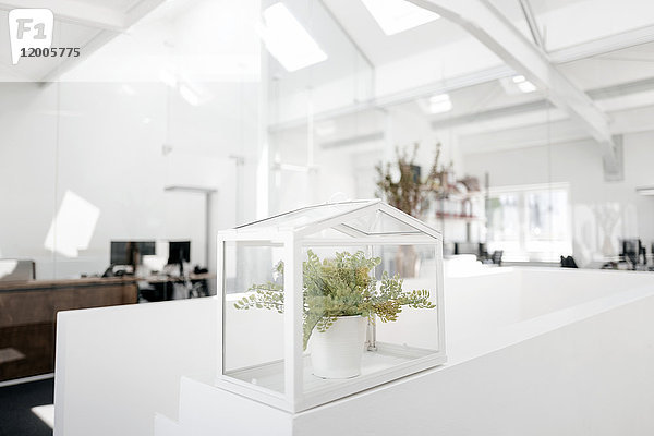 Pflanze im Glaskasten am Geländer im Büro