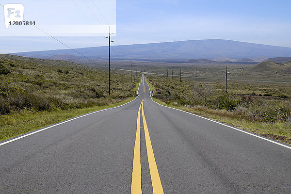 USA  Hawaii  Big Island  leere Landstraße mit gelber Linie